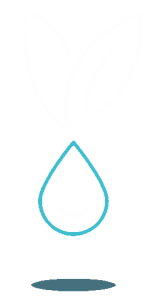 Nataya Beauty bunny logo Nataya Beauty bunny logo manchester cit centre vegan salon